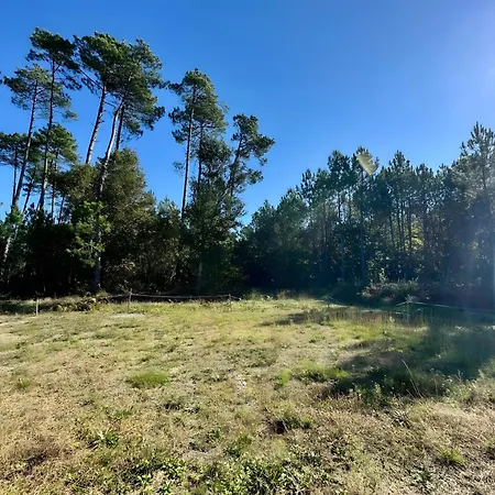 Bourdaines - Conciergerieland *