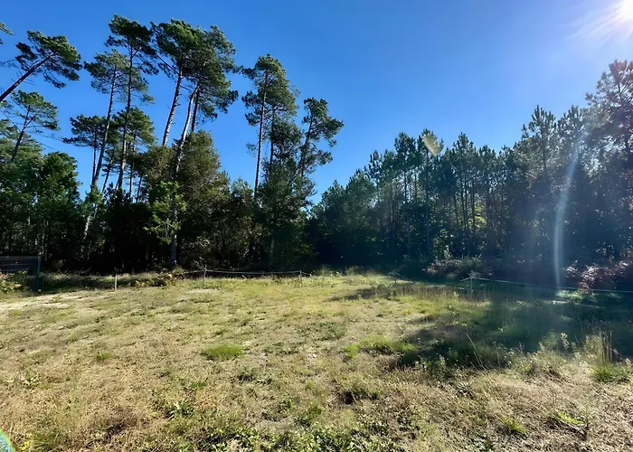 Bourdaines - Conciergerieland *